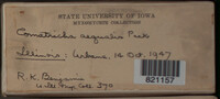 Image Associated With the Occurence